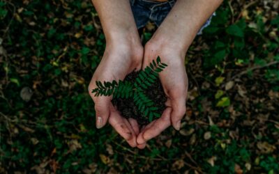 Laudato si’, sobre el cuidado de la creación. Carta Encíclica Papa Francisco